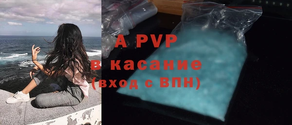 шишки Сосновоборск