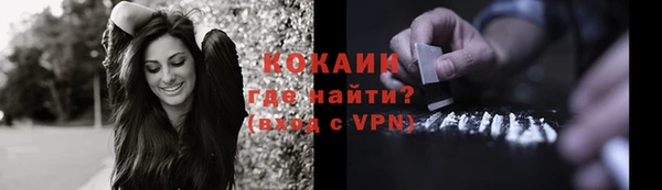 шишки Сосновоборск