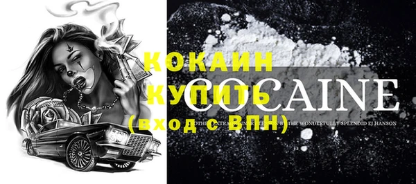 шишки Сосновоборск