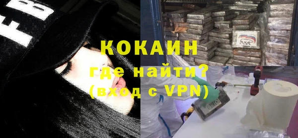 шишки Сосновоборск