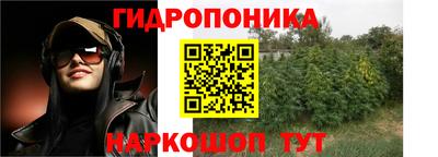стафф Донецк