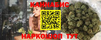 стафф Донецк