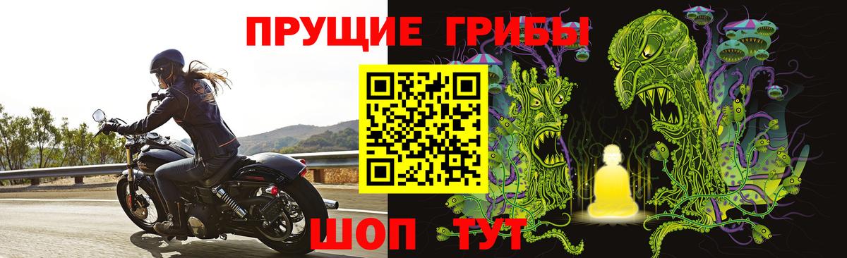 Псилоцибиновые грибы прущие грибы Калуга